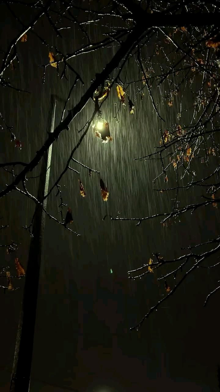 Rainy Romance: 21 Dreamy Ideas for Your Next Mood Board