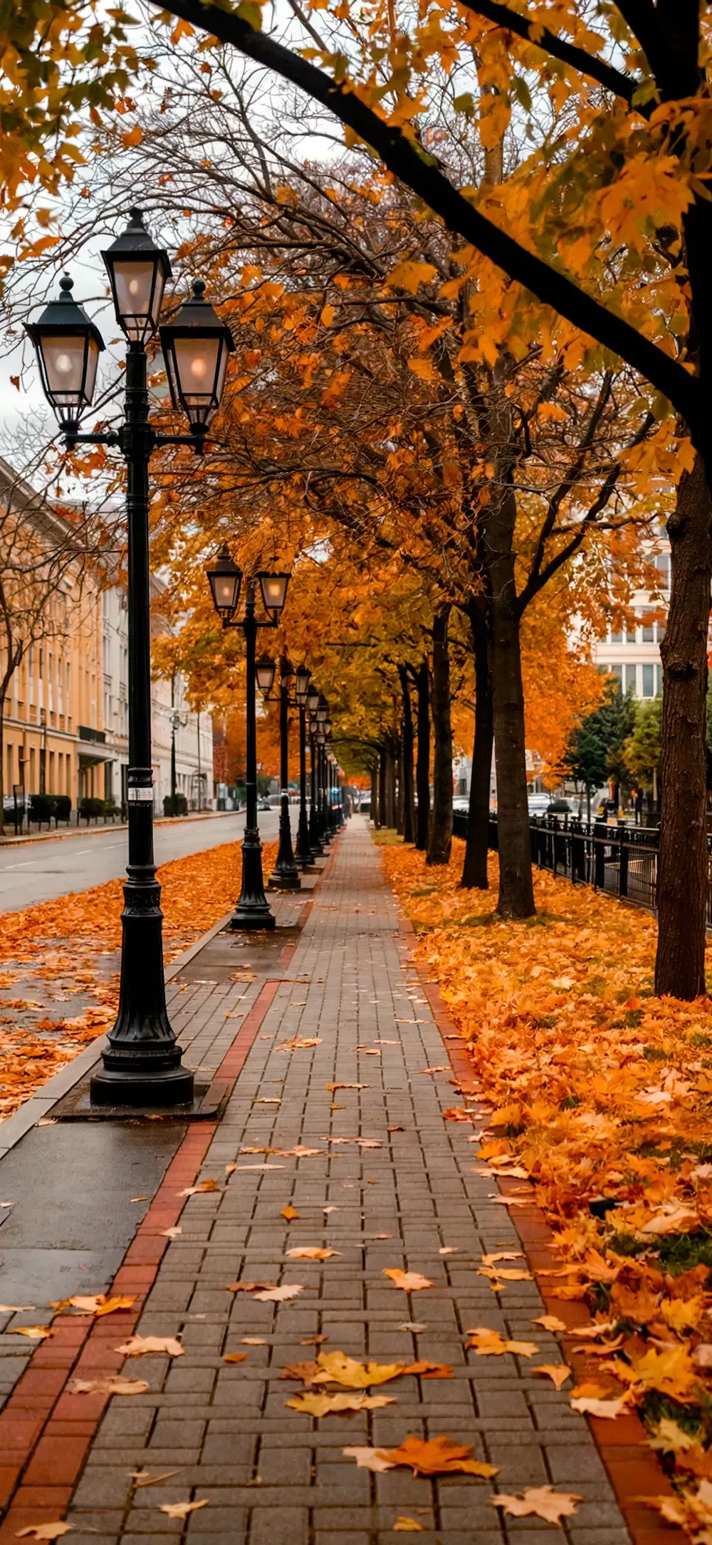 Cozy Up Your Phone for Fall with These 28 Autumn Must-Haves