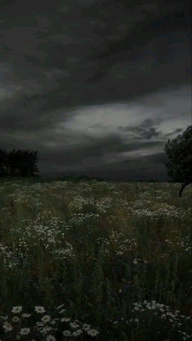 Perfection Awaits: Is It Perfect Enough?