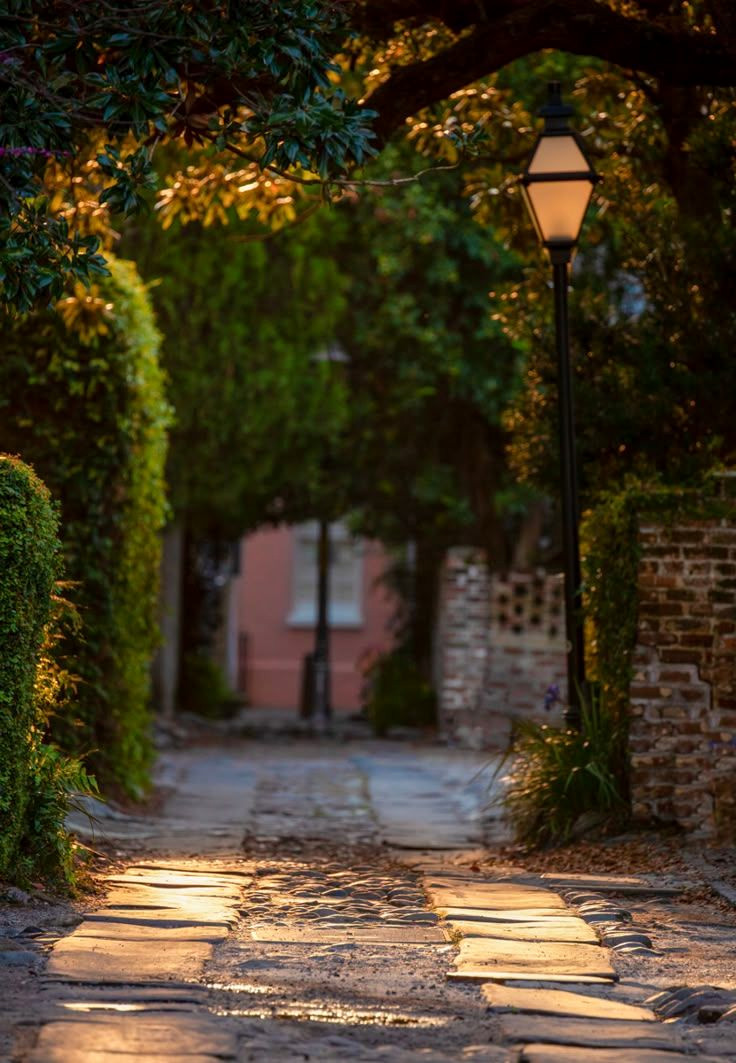 Rich History Awaits in Charming Charleston