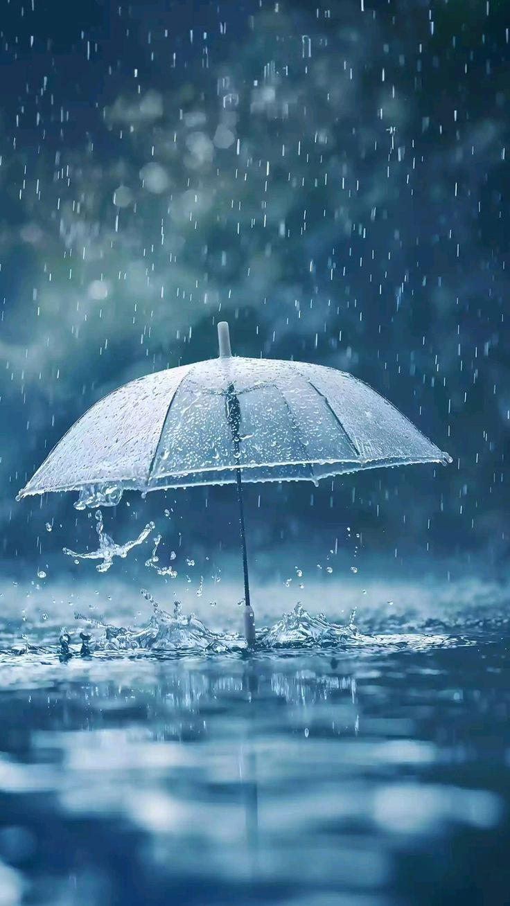 Mysterious Woman Revealed