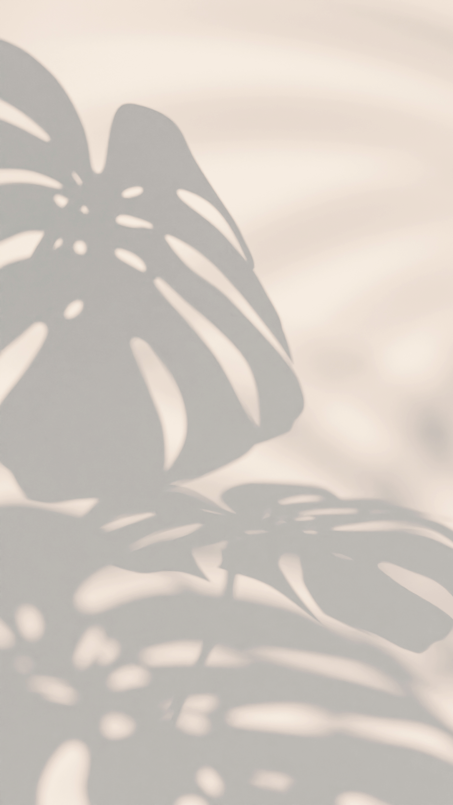 Transform Your Space with Dreamy Wall Decals