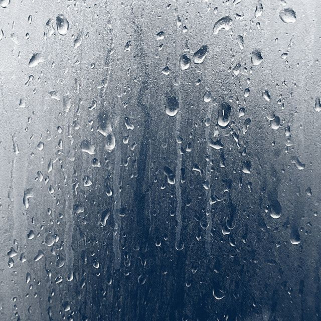 Free Raindrop PNG: Stunning Rainy Day Scene