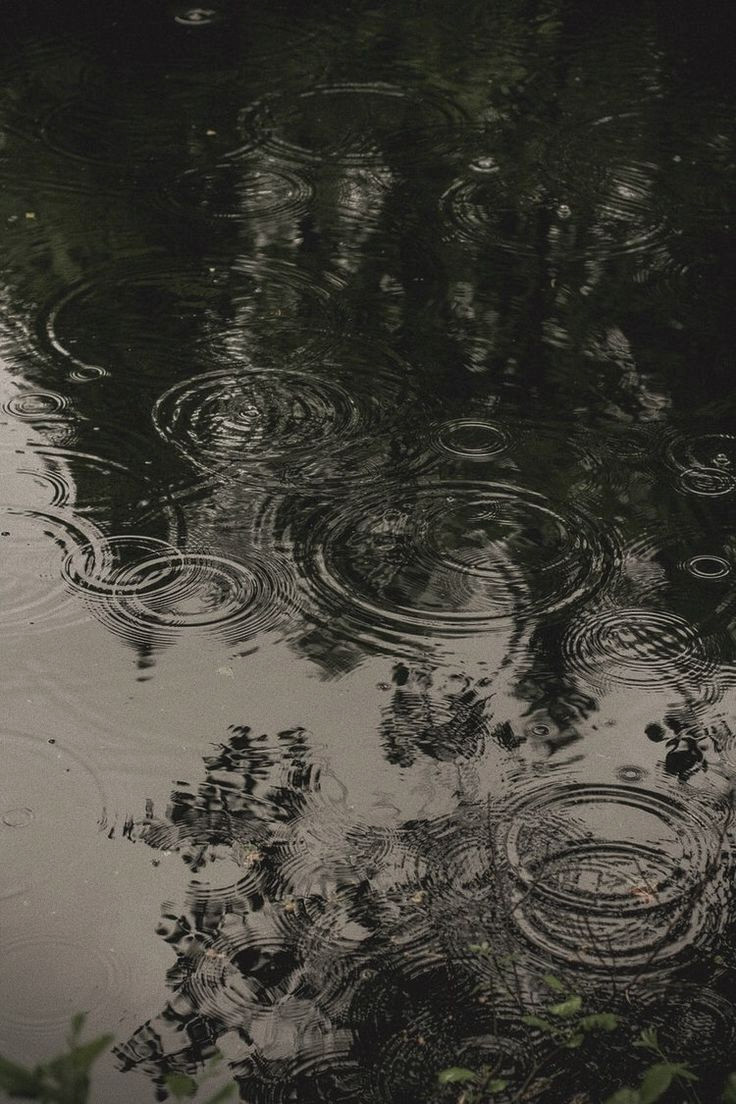 Moon Secrets Revealed