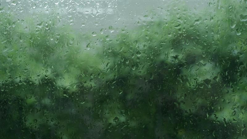 Free Rainy Afternoon Sounds: Nature’s Soothing Delight