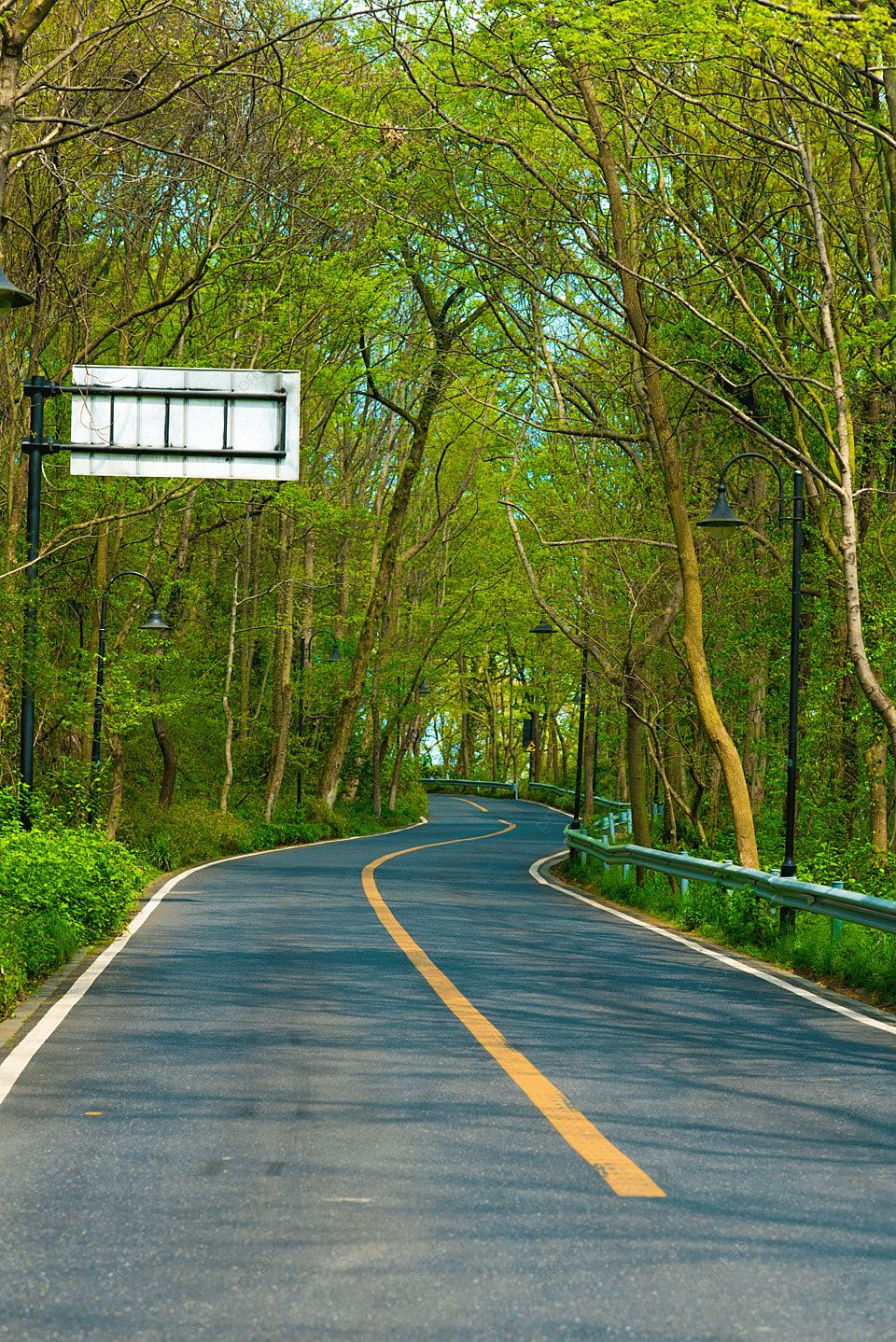 Free Forest Road Map for Outdoor Sports Photography