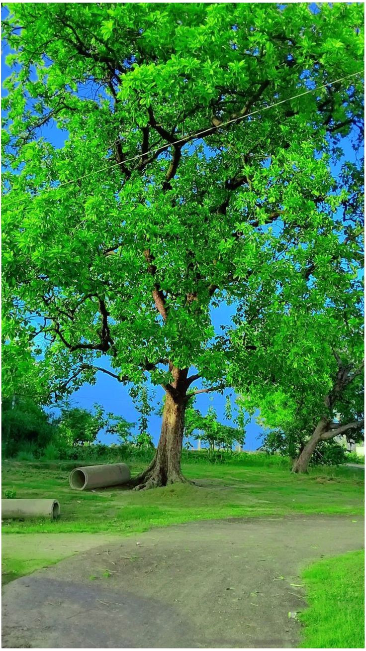 Discover Your Hidden Potential