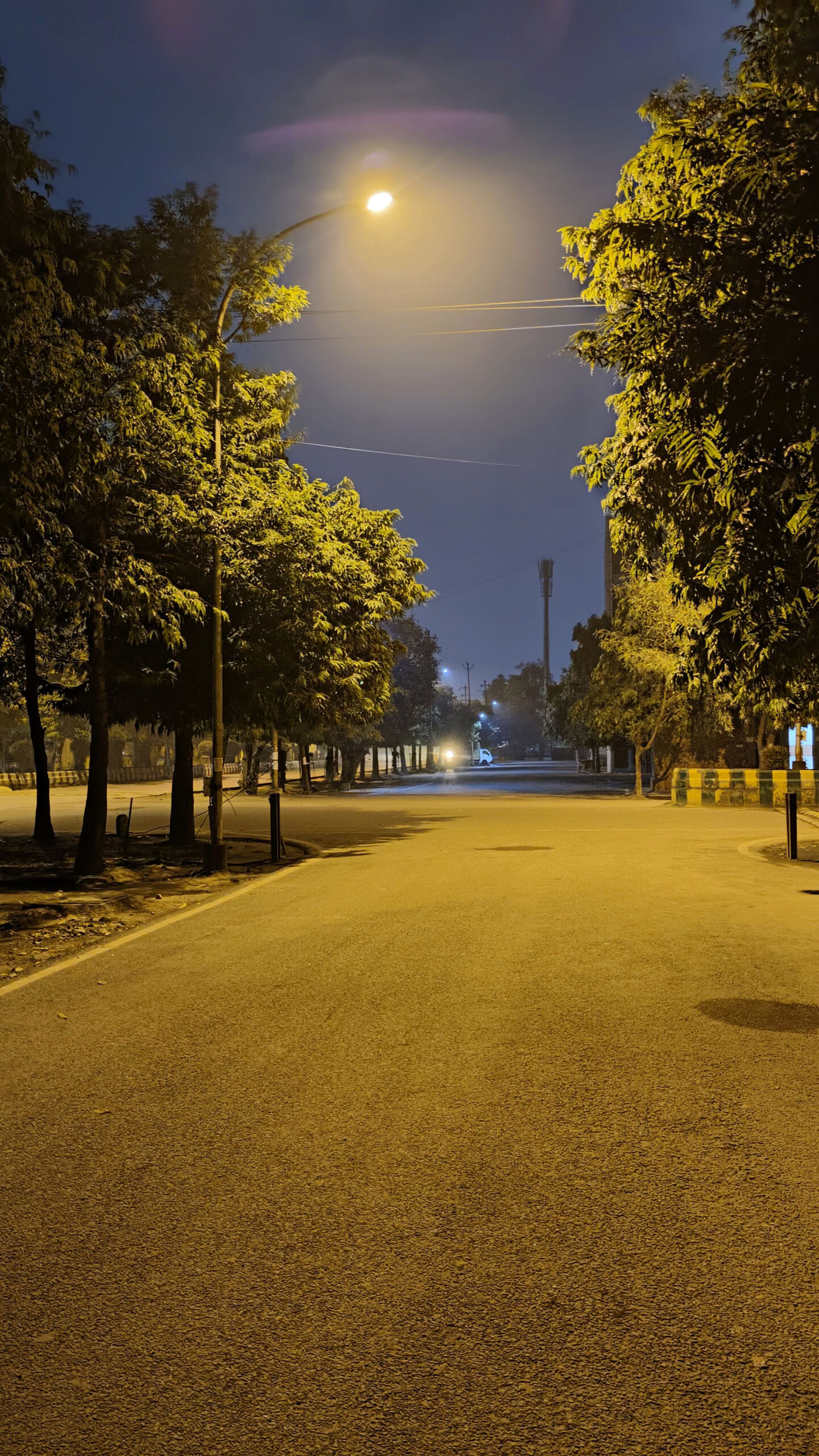 Snapped on the Streets: 10 Captivating Photos