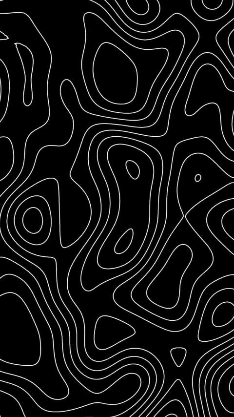 Elegant Animated Topography Textures for Your Next Design
